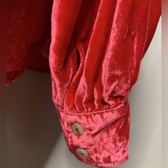 Anthropologie Pilcro Velvet Button-Up Cherry Red Blouse | Large | Stunning Color - Picture 7 of 14